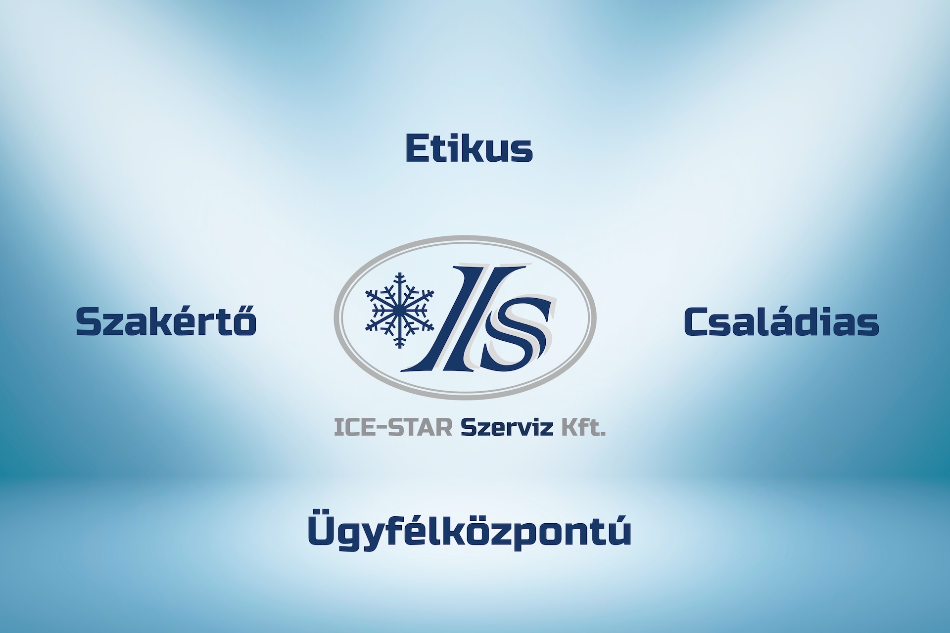 ICE-STAR Kft. alapértékei